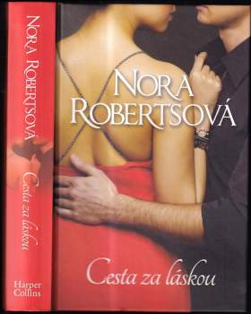 Cesta za láskou