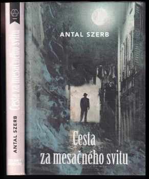 Cesta za mesačného svitu