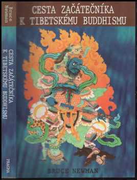 Cesta začátečníka k tibetskému buddhismu