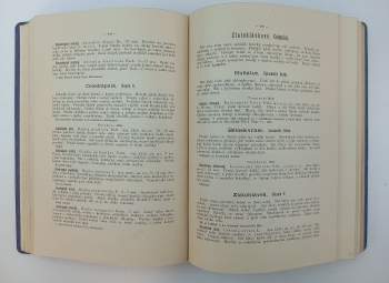 Josef Kliment: Čeští brouci