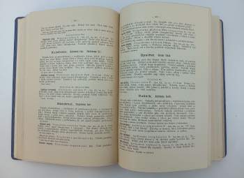 Josef Kliment: Čeští brouci