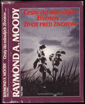Cesty do minulých životov-