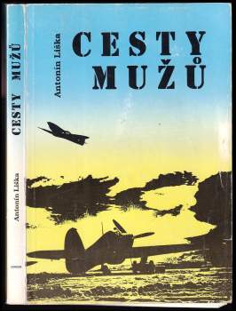 Cesty mužů