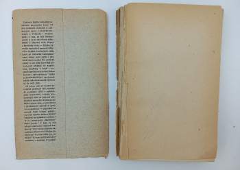 Fritz Lieb: Cesty Ruska