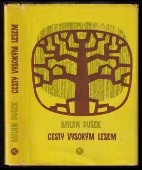 Cesty vysokým lesem