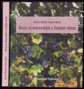 Cesty za moravským a českým vínem