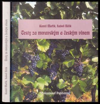 Kamil Mařík: Cesty za moravským a českým vínem