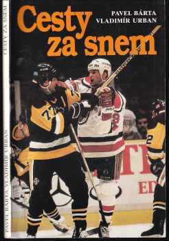 Cesty za snem
