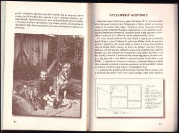 Michal Dlouhý: Četnický pes Alto