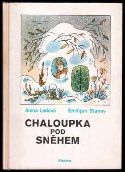 Chaloupka pod sněhem