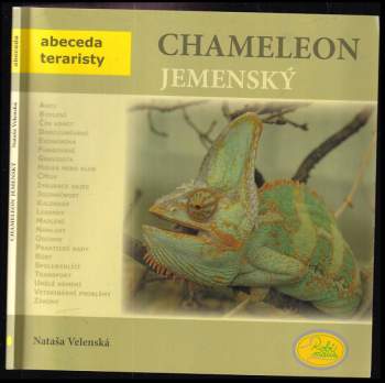 Chameleon jemenský