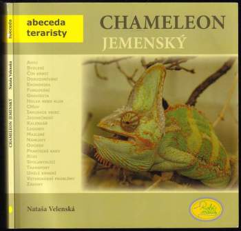 Chameleon jemenský