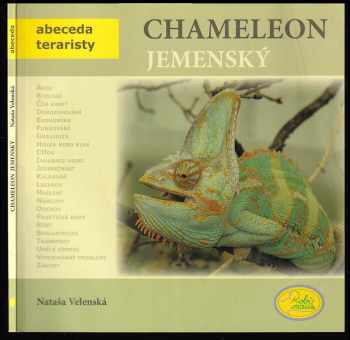 Chameleon jemenský