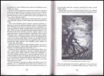 Jules Verne: Chancellor