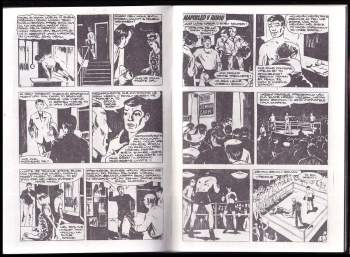 Jaroslav Foglar: Chata v Jezerní kotlině