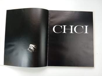 Miroslav Horníček: Chci