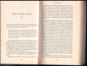 Charles Frazier: Chladná hora