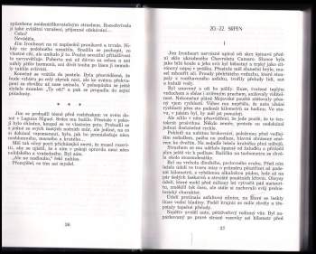 Dean R Koontz: Chladný plamen