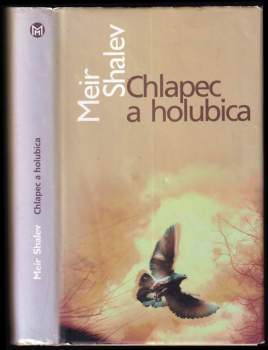 Chlapec a holubica