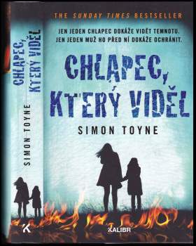 Simon Toyne: Chlapec, který viděl