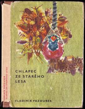 Chlapec ze starého lesa