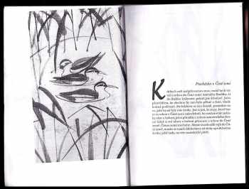 Nhất Hạnh: Chodím a medituji