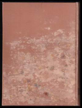 Jan Vrba: Chodské rebelie