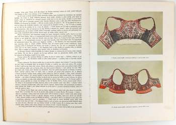 Jindřich Jindřich: Chodsko