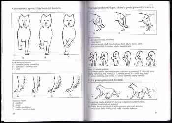 Jan Findejs: Chodský pes