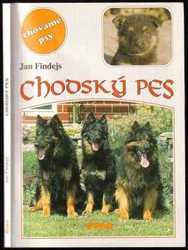 Chodský pes
