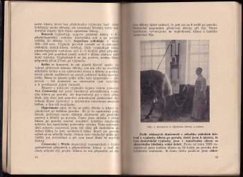 Bohumil Hlaváček: Choroby chovných klisen a ssajících hříbat