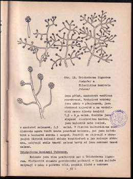 Antonín Příhoda: Choroby lesních školek a mlazin