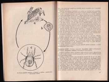 Božena Kotrlá: Choroby lovné zvěře