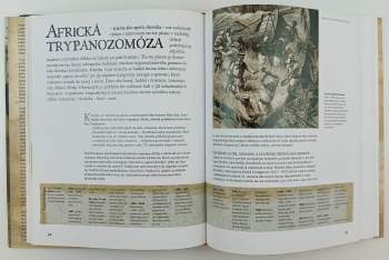 Mary J Dobson: Choroby