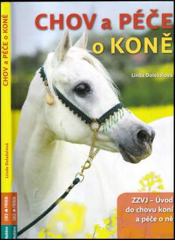 Chov a péče o koně
