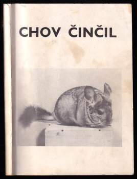 Chov činčil