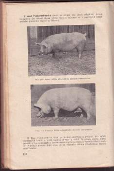 Josef Tesař: Chov domácích zvířat