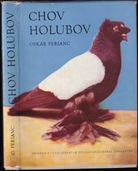 Chov holubov
