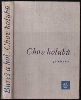 Chov holubů