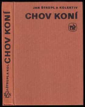 Chov koní