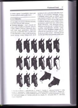 Jaromír Dušek: Chov koní