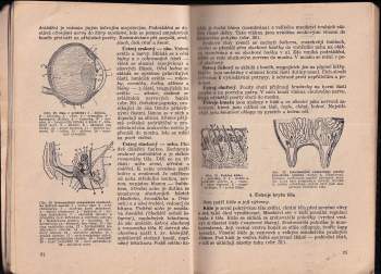 Josef Beneš: Chov zvířat