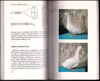 Vladimír Malík: Chováme kačice a husi