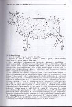 František Horák: Chováme ovce