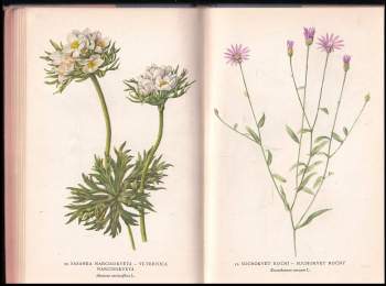 Jaroslav Veselý: Chráněné rostliny