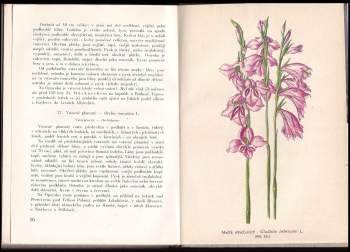 František Krkavec: Chráněné rostliny Opavska