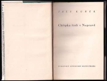 Jalu Kurek: Chřipka řádí v Napravě