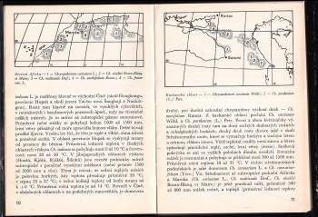 Karel Hieke: Chryzantémy