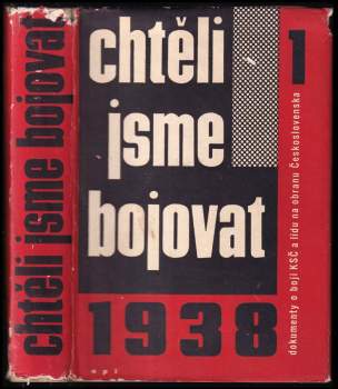 Chtěli jsme bojovat