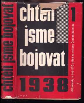 Chtěli jsme bojovat